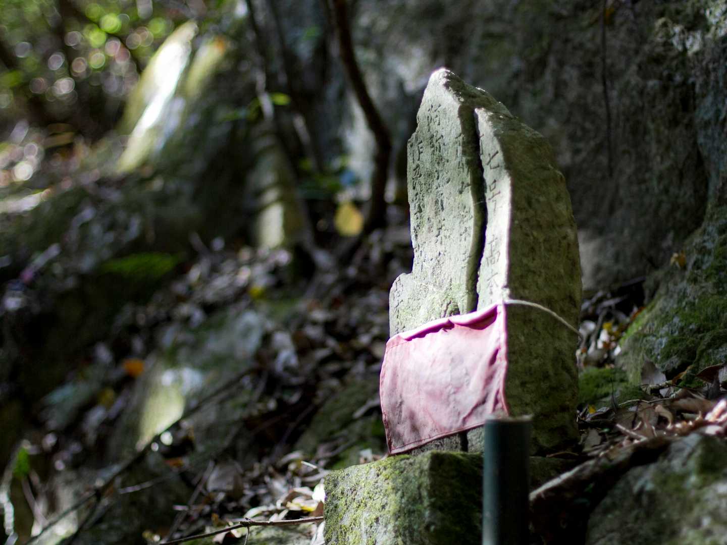 山の深くに入ると、お地蔵さんが随所に。八十八ヶ所あるらしく、すべてに番号札が立てられていました