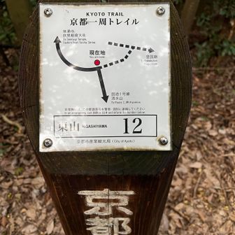 現在地を示してくれるので、助かります