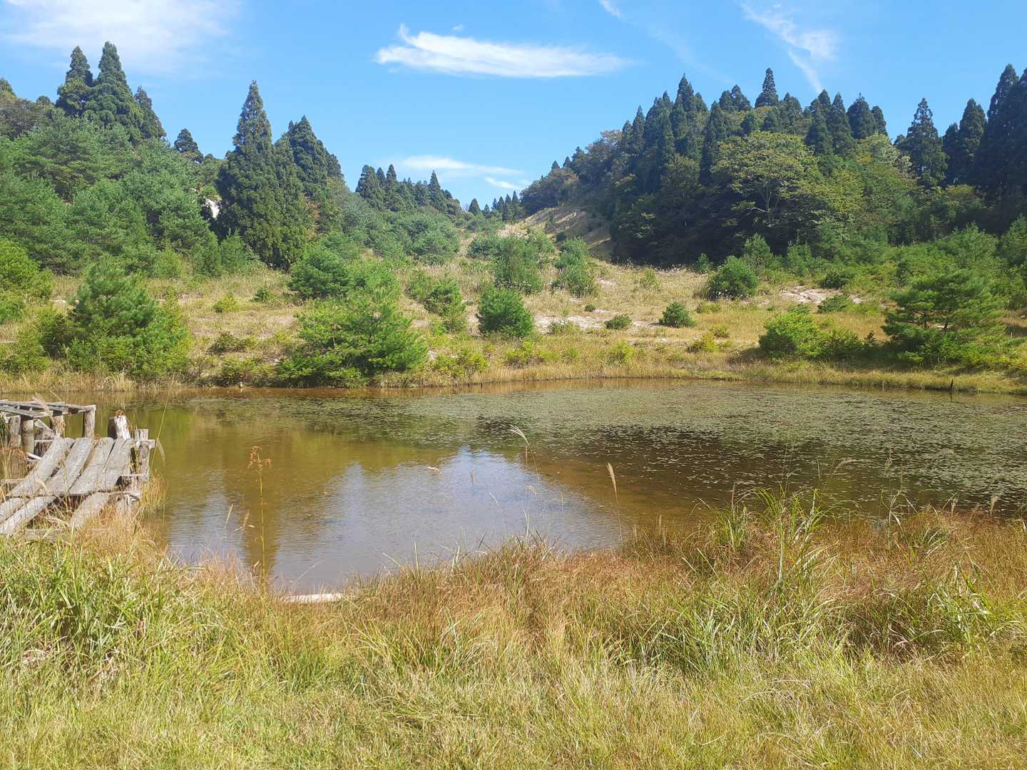 金糞峠-コヤマノ岳-武奈ヶ岳-北比良峠-カモシカ台 周回コースの写真