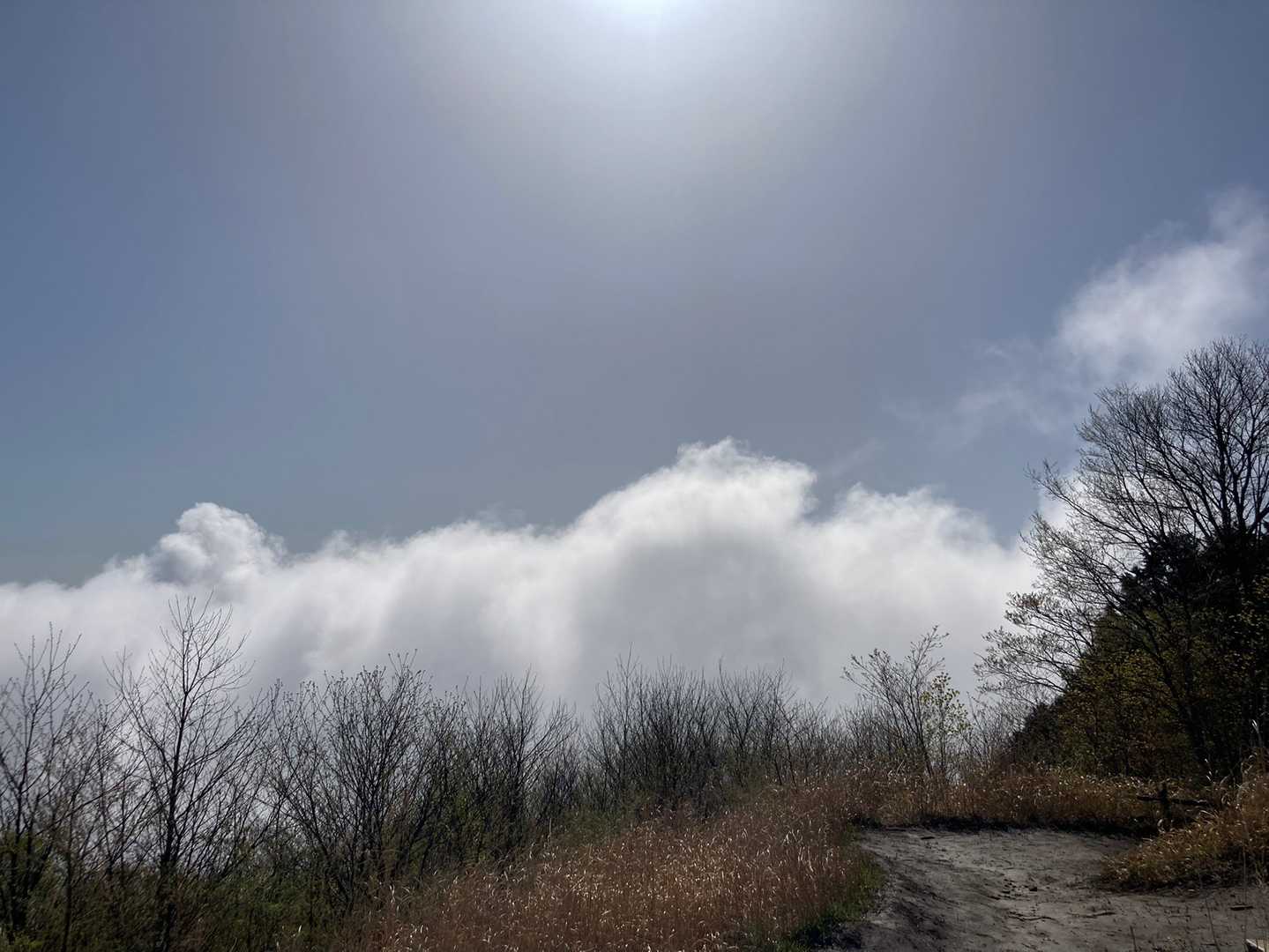 名栗湖から雲湧いてます。
今日は暑くなりそう。。。
今は心地良いです😃