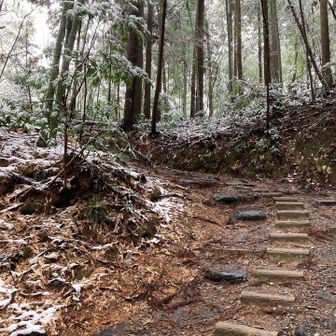 道も雪は溶けて