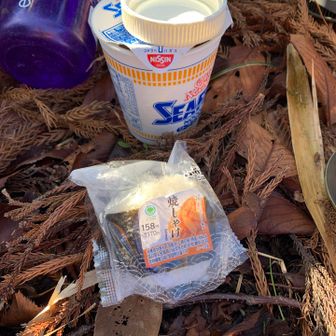 いつものカップラーメン美味しくいただきました😋