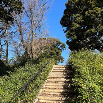 階段を上がると…