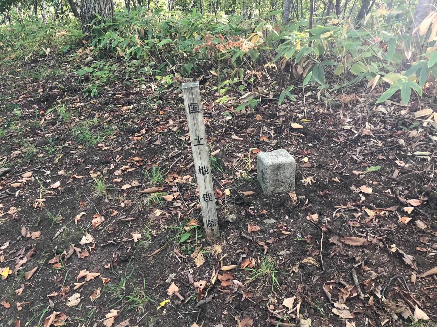 なまこ山 往復コースの写真