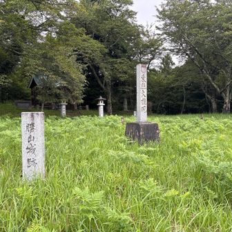 勝山城跡こと、城山の山頂に到着。