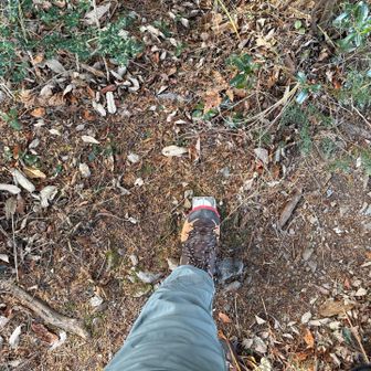 杭にタッチ。😁
