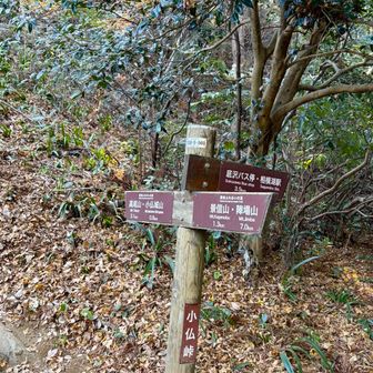 毎回週末登山の帰りに苦しめられる小仏トンネルの渋滞の上を通る。なぜか感慨深い。