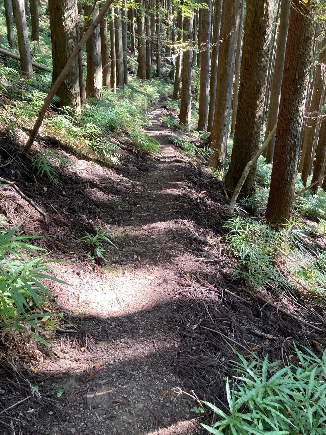 疾走しかない