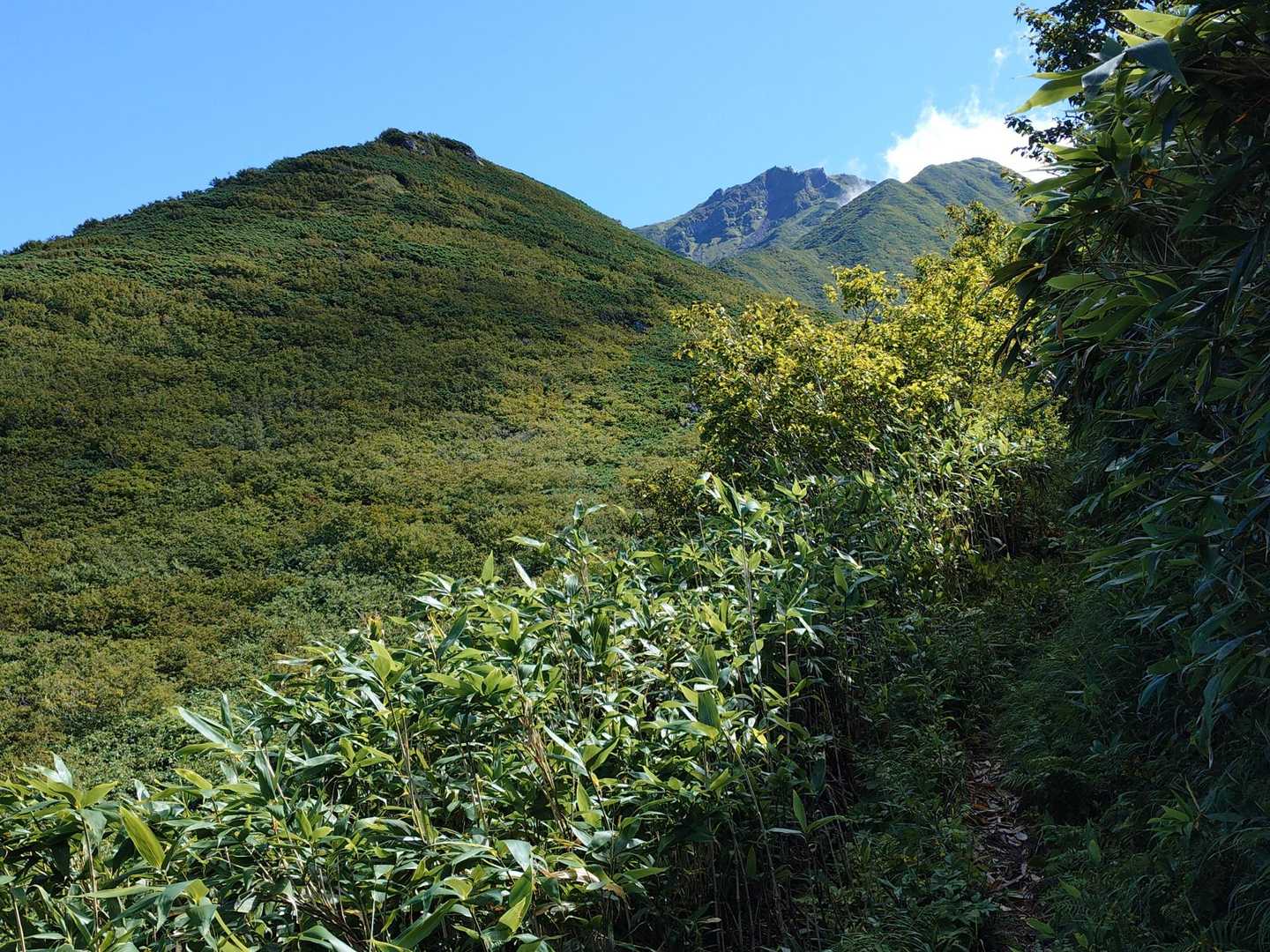見えてきた〜⛰️