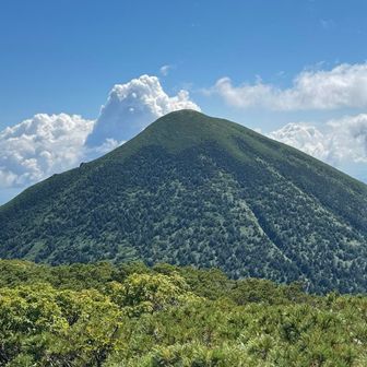 ばばーん！隠れセンター高田大岳