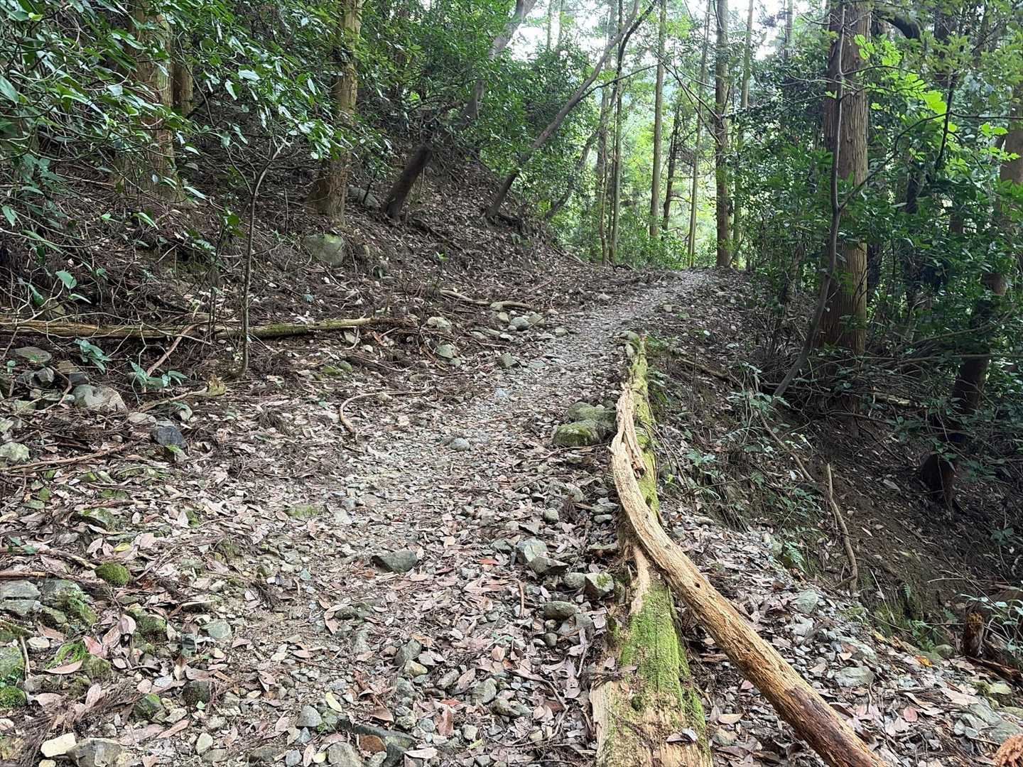 舗装路が途切れても道ははっきりしていて、傾斜もそんなにキツく無いのでとても歩きやすいです