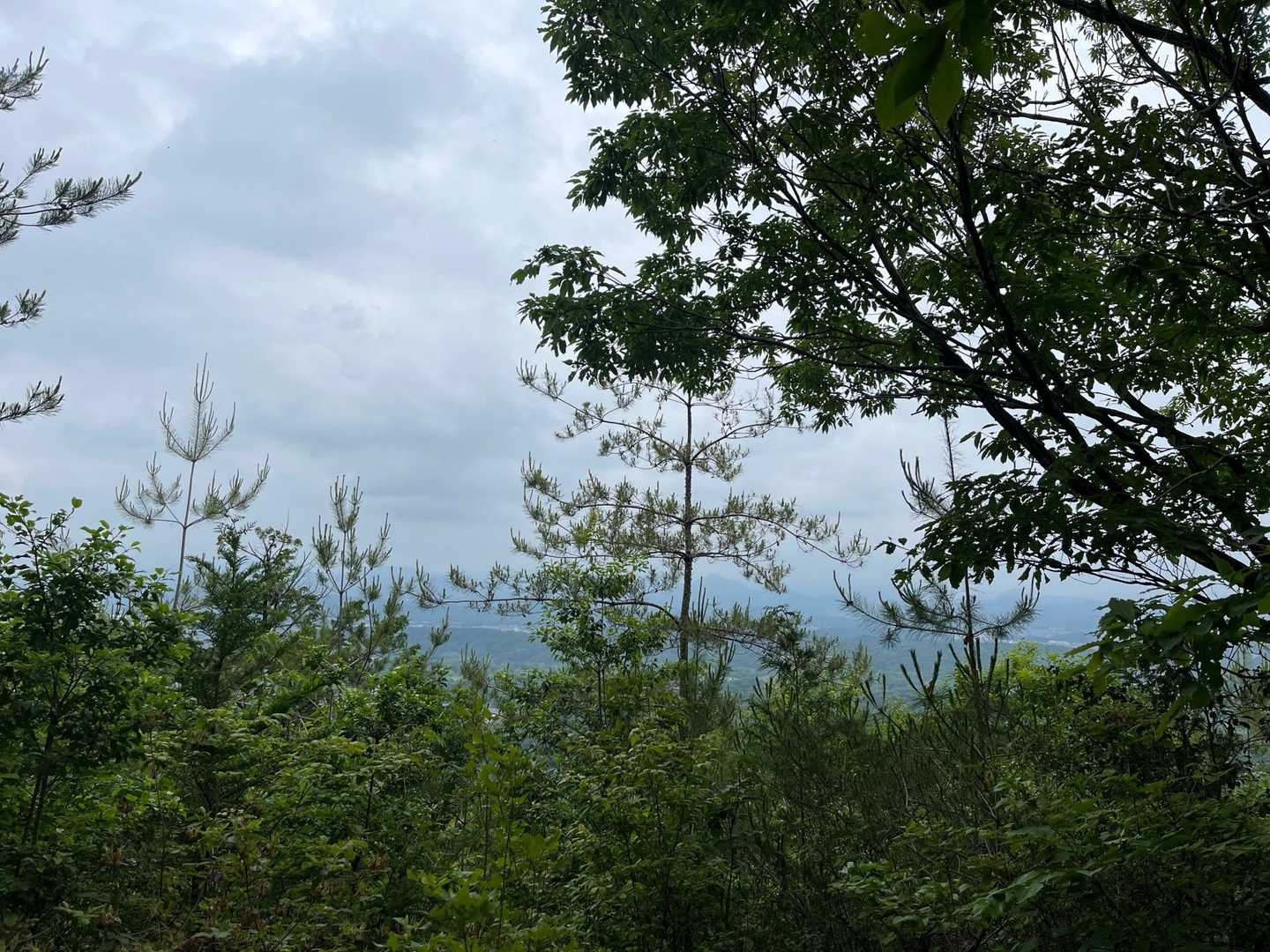 眺望ポイントから〜
天気が良ければ、御嶽山と乗鞍岳が見られるらしい⛰️