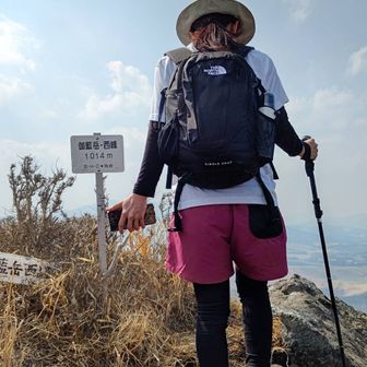 ムーミン谷のてちゃ