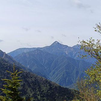 振り返ると
北岳（カッコいい）そして
栗沢山（宇多田ヒカルさん）