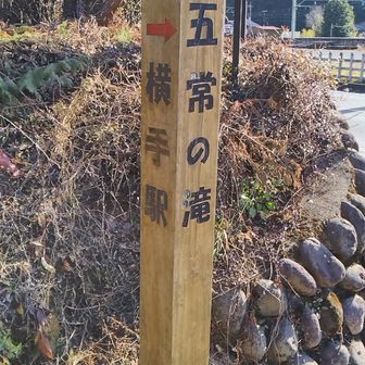 国道２９９号に出て来た