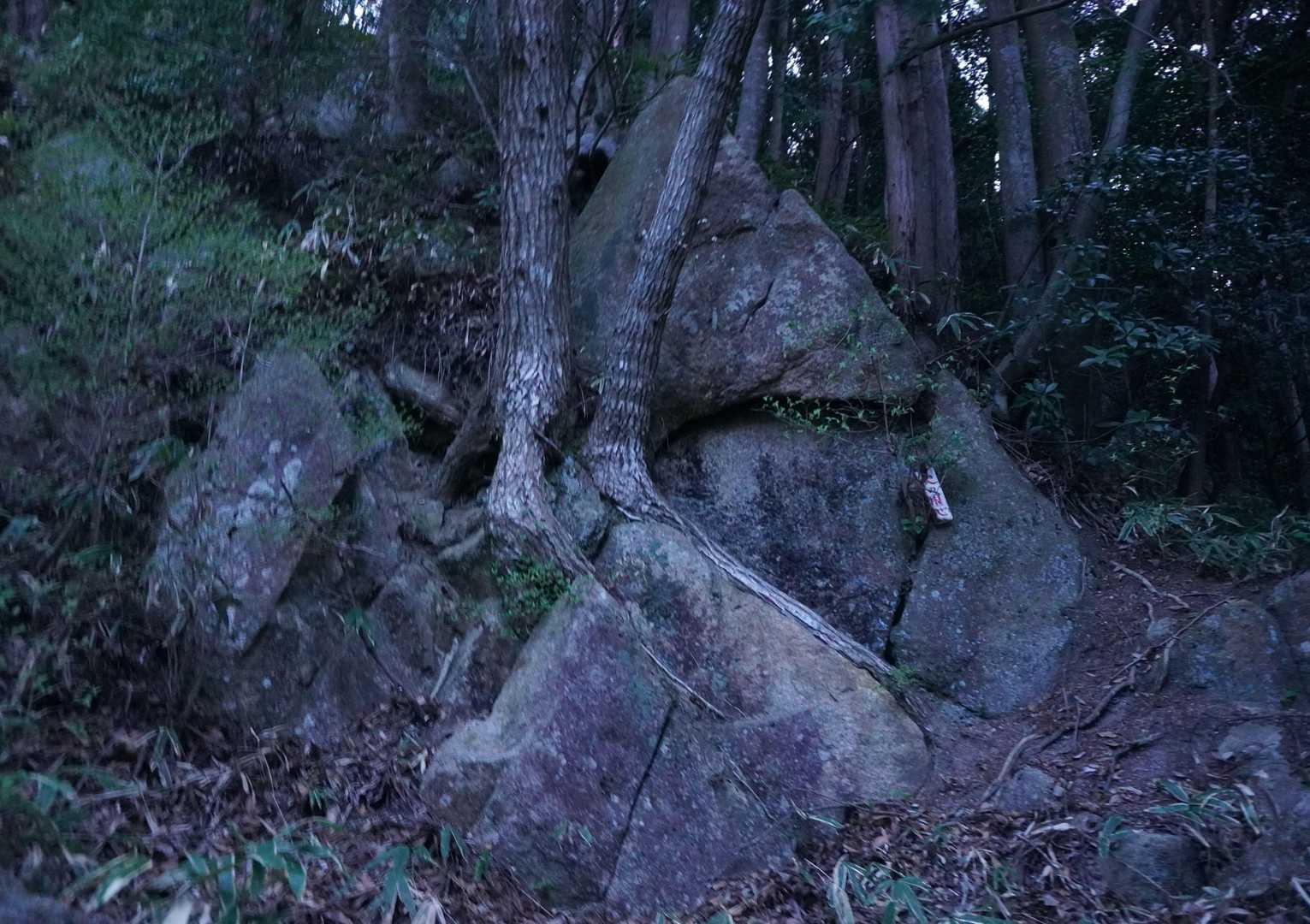 飯道神社-飯道山 往復コースの写真