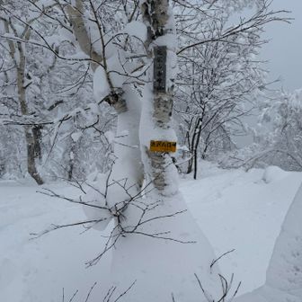 おりゃーーー！っといってたらあっという間に迷沢山西峰到着🏔️🙌
