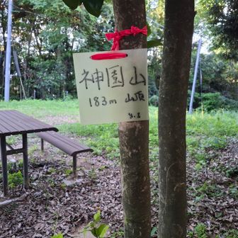神園山山頂