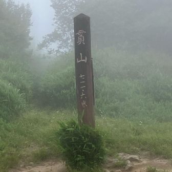 いつの間にか貫山山頂