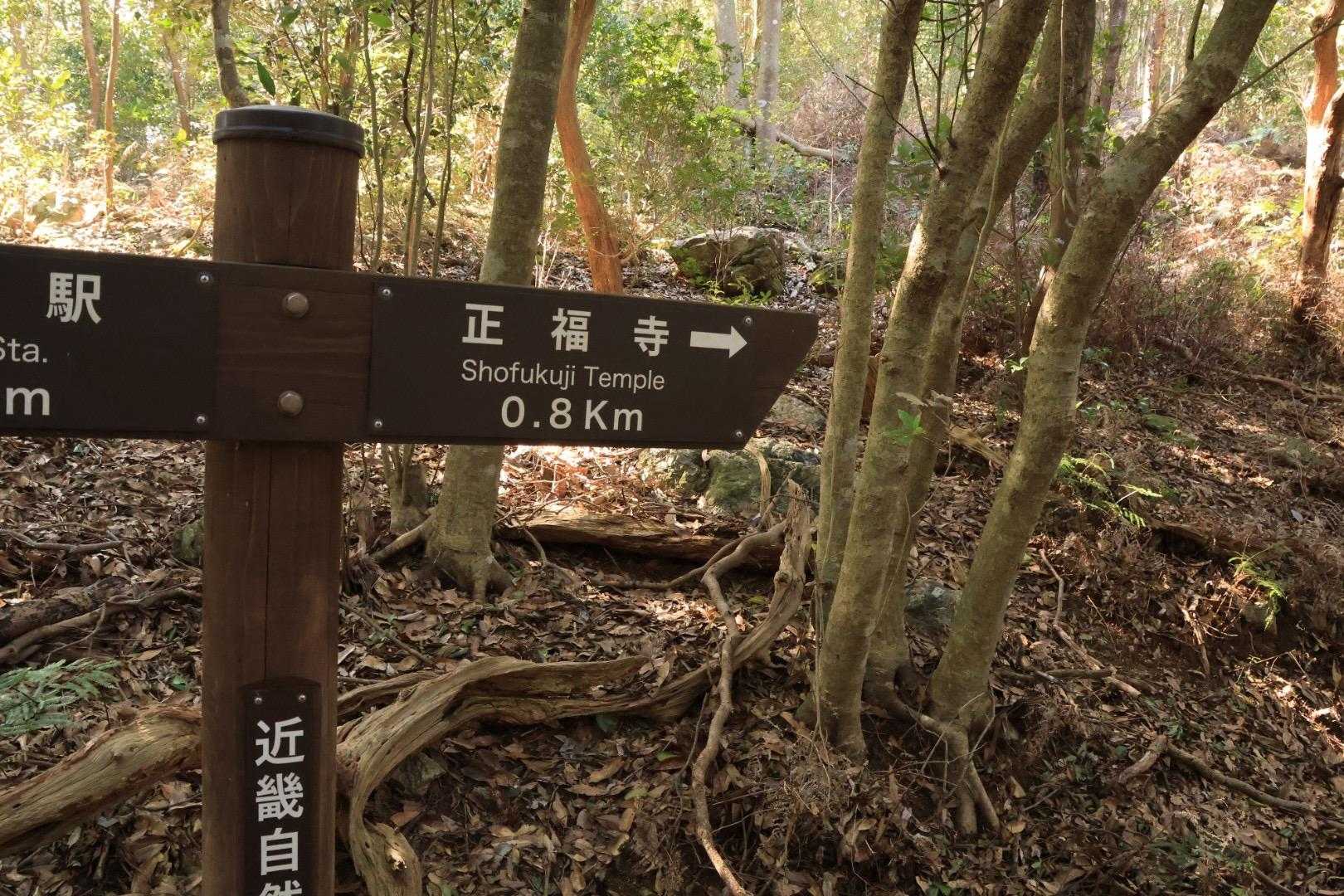 あともう少しやね