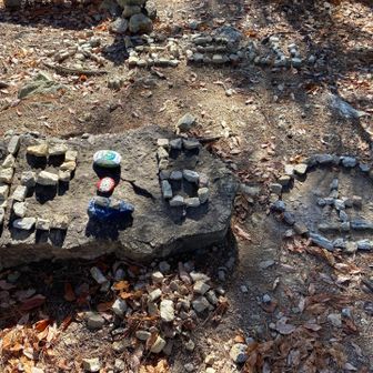 毎日登っている方がいるのかな
ありがとうございます😊