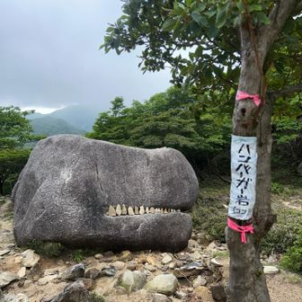 久しぶりゴジラ岩