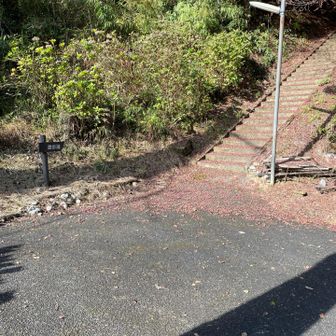 石段を登っていき、