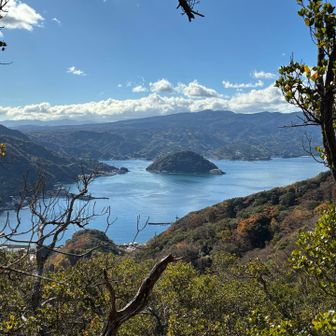 江浦湾と丸い島は淡島