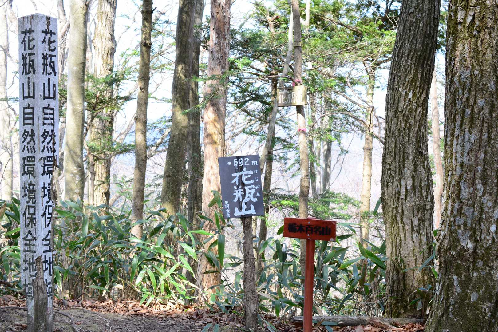 花瓶山の山頂です。