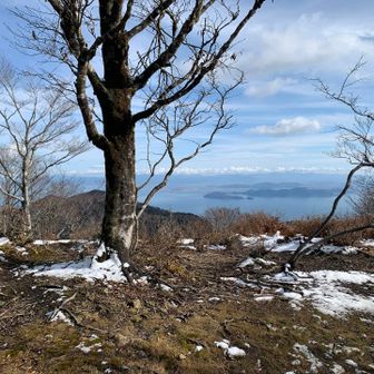シベリウスに耳を傾けながら、再びコヤマノ岳へ。