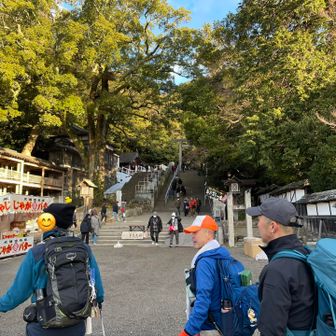 ワンコルートから外れるので、本日は鳥居⛩️前でお辞儀して通過します🙇‍♂️