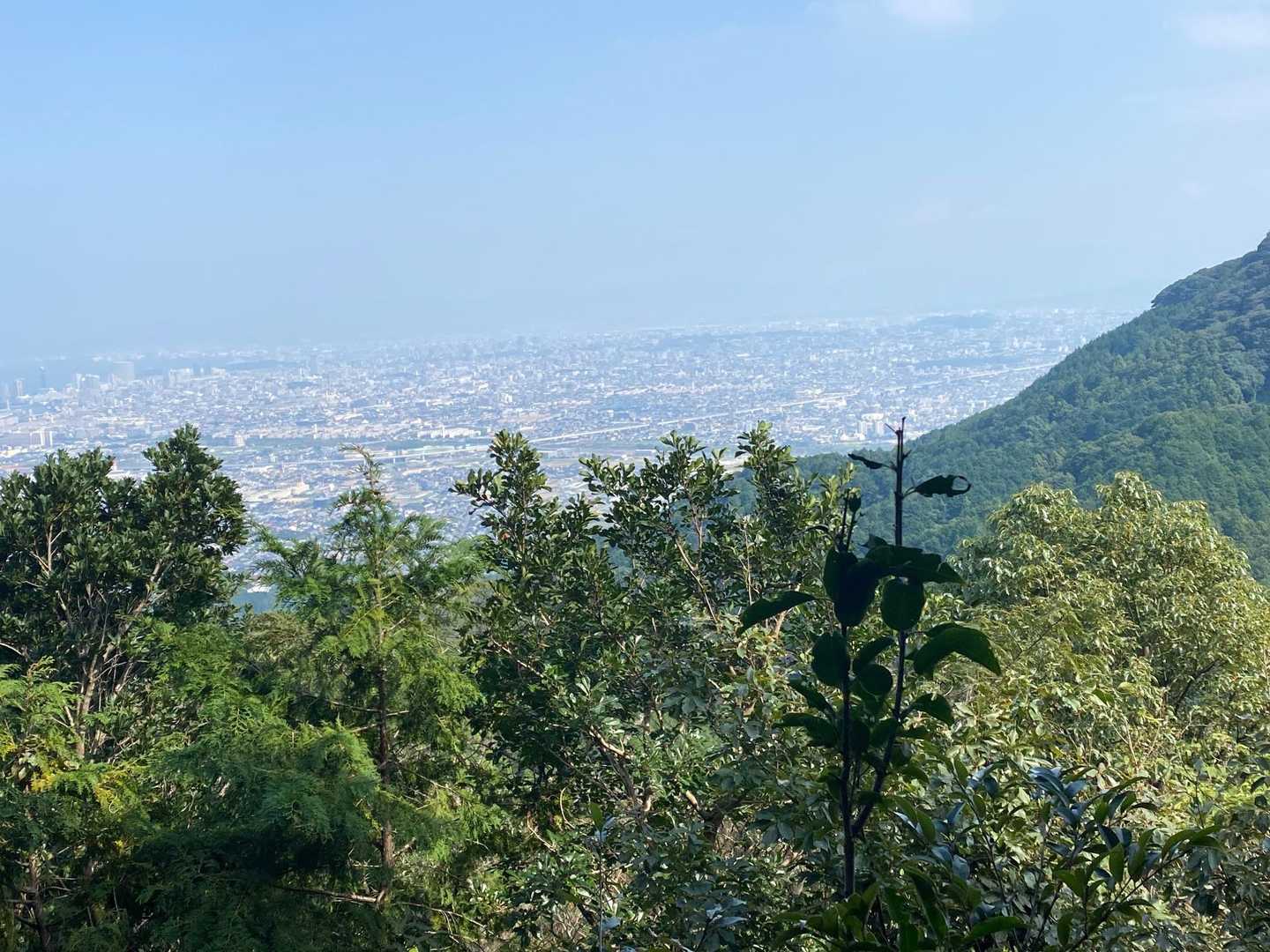 飯盛山-日向山-高地山 往復コースの写真