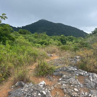 多分、あれが足立山。砲台山より足立山を望む