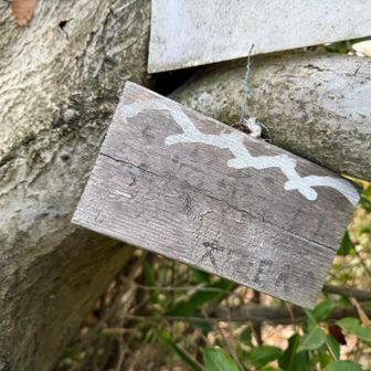 六道輪廻ヶ岳山頂に登頂