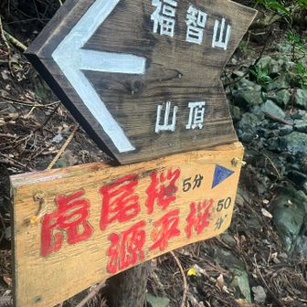 立ち寄ります。