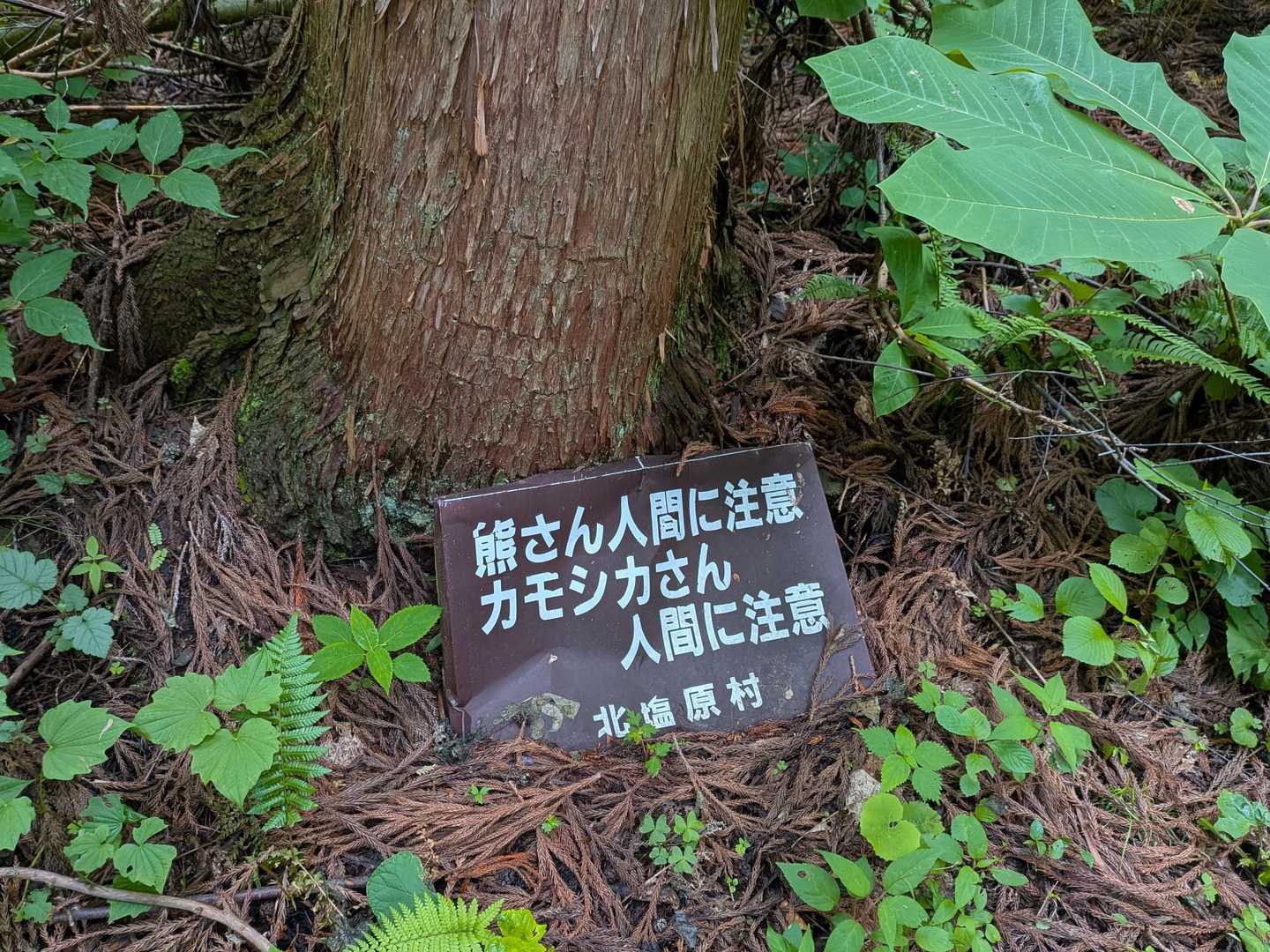 一瞬、熊さん人間？？？となったが、熊さん、人間に注意でした。