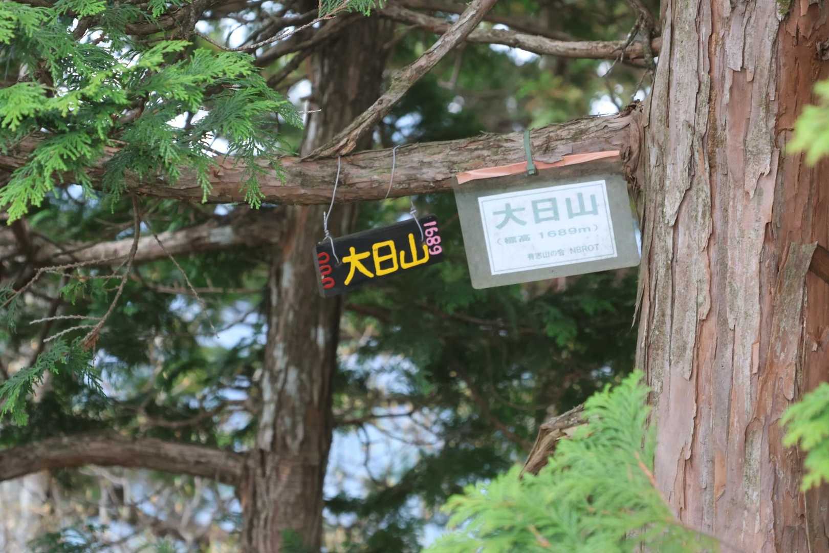 大日山🙌