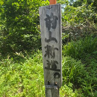 お疲れ様でした🏔️