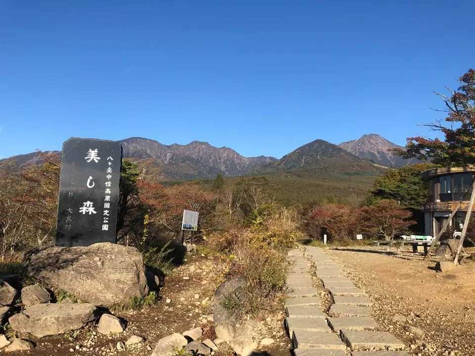 美し森の写真