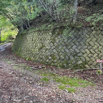 右➡️側杓子山沢コース2に行かず、左⬅️側へ。