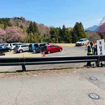 戻ってくると賑やかになってました
皆さん三多気の桜狙いです
お疲れ様でしたー