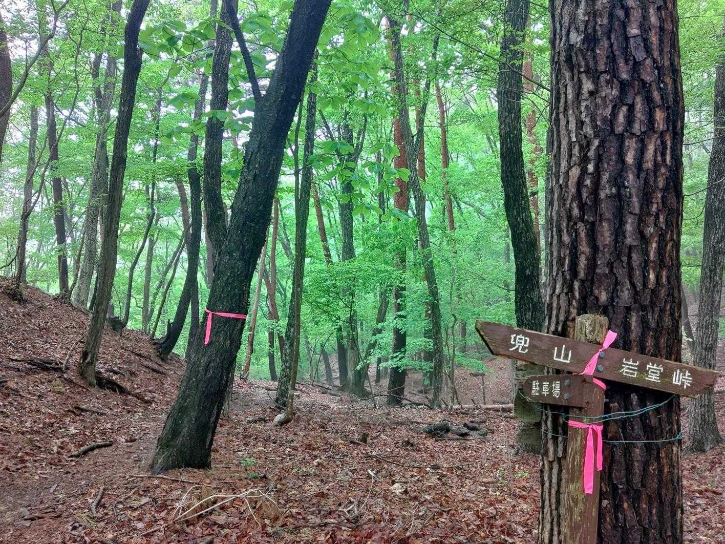 🅿️戻ります
ピンテしっかりあってわかりやすい🍀整備ありがとうございます