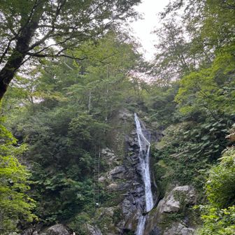 落差のある滝の脇を梯子で登っていく