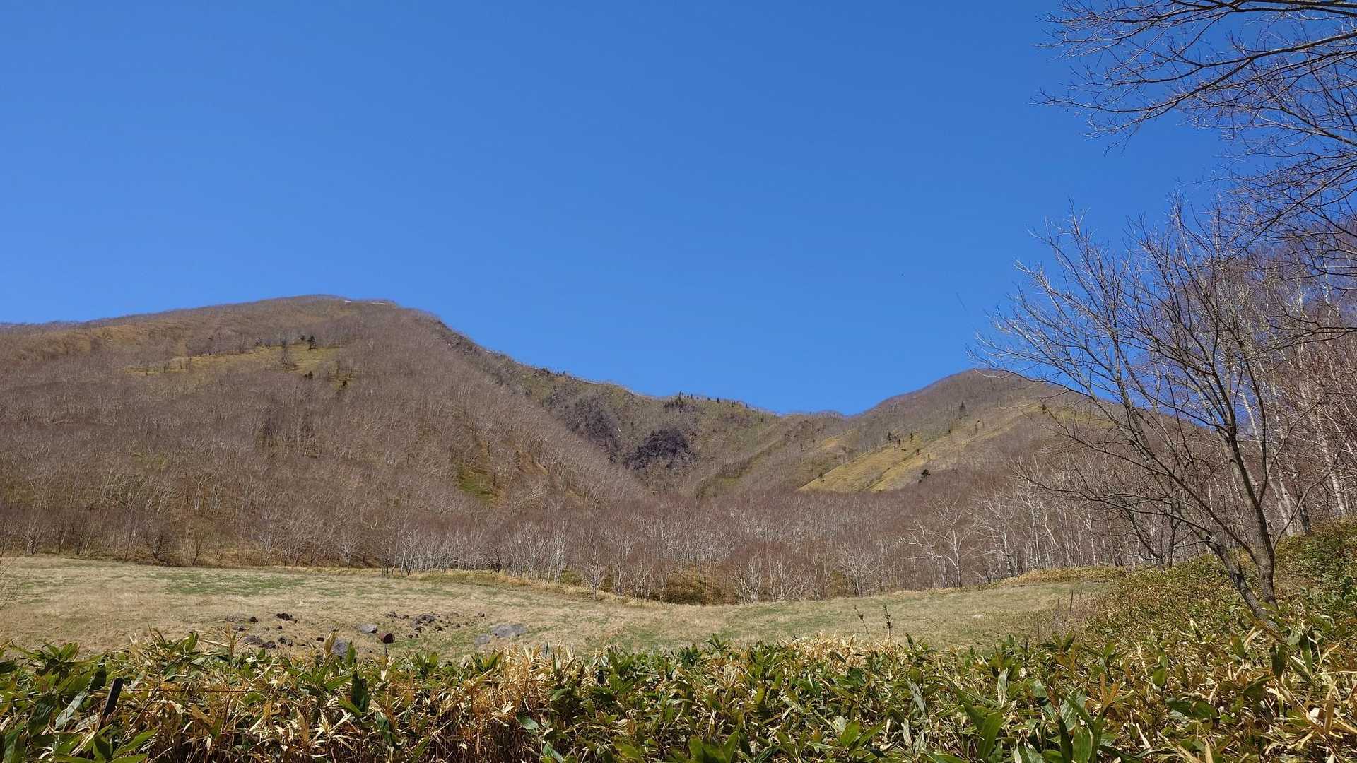 真っ青だったのでパシャリ