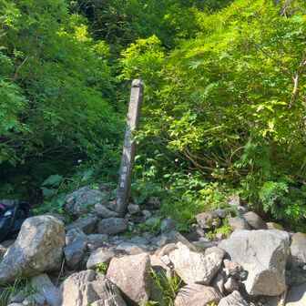 コマドリ沢のきれいな水💦を浄水器で飲みましょうと思っていましたが体調不良で断念