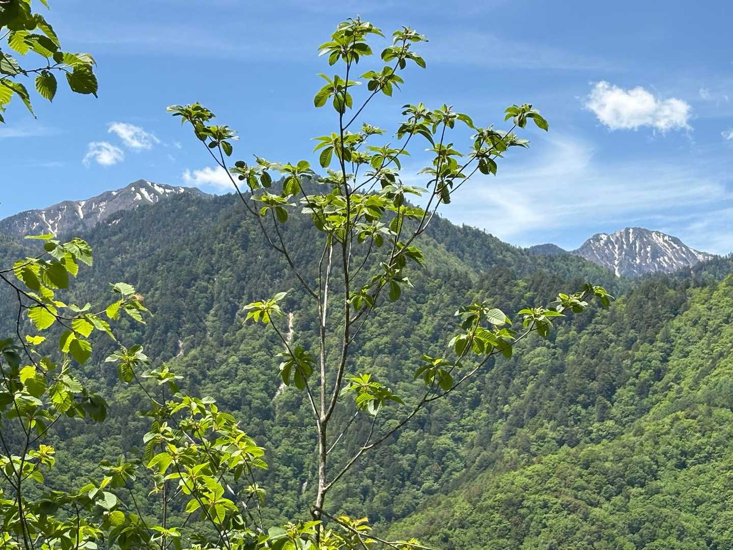 左奥、餓鬼岳　　右奥、唐沢岳　見えてきた✨