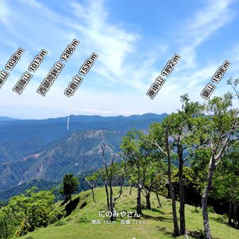 山名表示