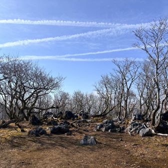 マイナールートの始まりです