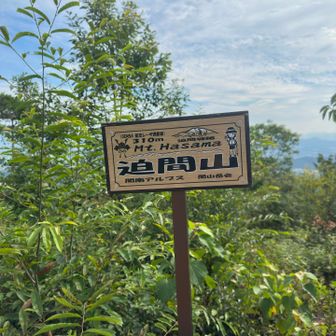 迫間山  310m