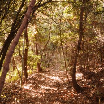 その後はナイスロードを堪能して